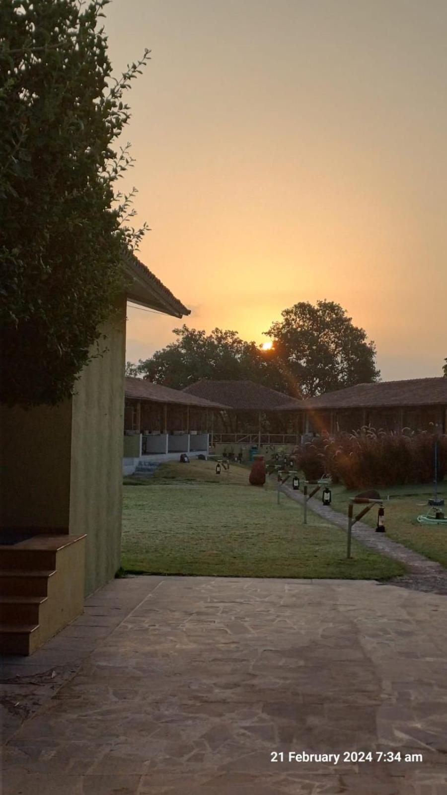 Asiatic Lion Lodge Гирский лес Экстерьер фото