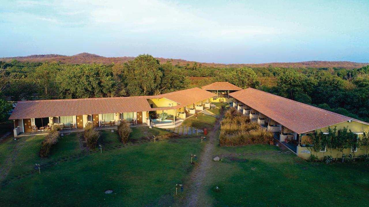 Asiatic Lion Lodge Гирский лес Экстерьер фото